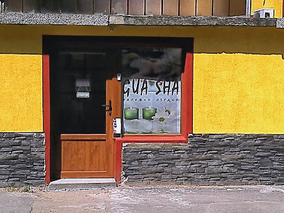 "Gua Sha" масажно студио