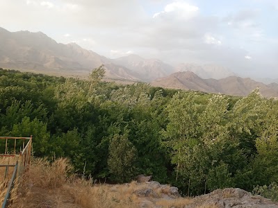 بگر شیریخ