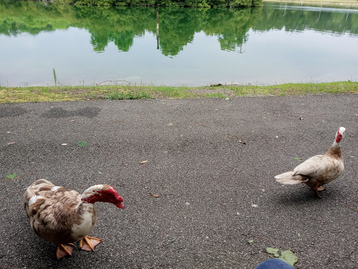 Joseph Tribble Park - Thumbnail