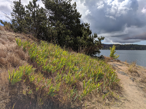 Blind Island Marine State Park - Thumbnail