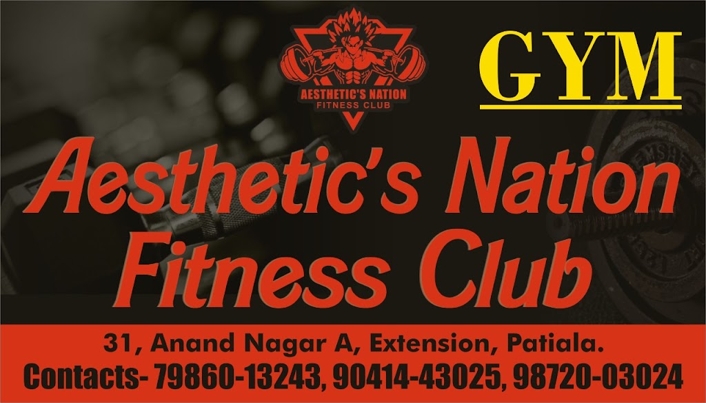 Aesthetic S Nation Gym The Best Gym
