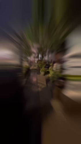 Comentarii opinii despre Victoria Barranco