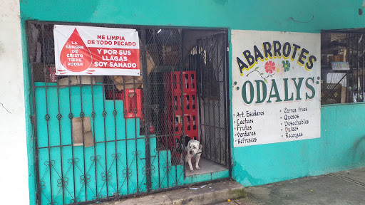 Abarotes odalys - Visual