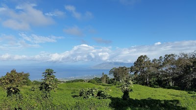 Sun Yat Sen Park