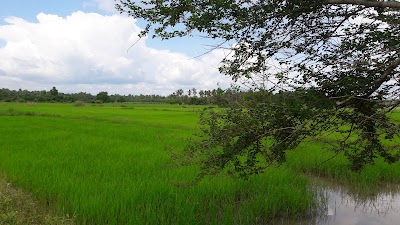 Photos of ភូមិខ្ទួយ