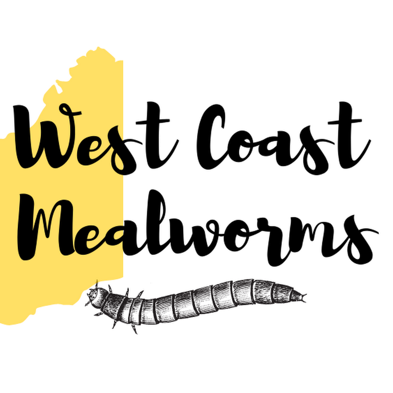 Space Coast Mealworms