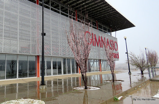 Gimnasio Parral - Thumbnail