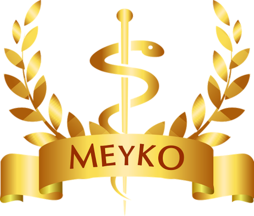 Meyko Tlaxcala - Thumbnail