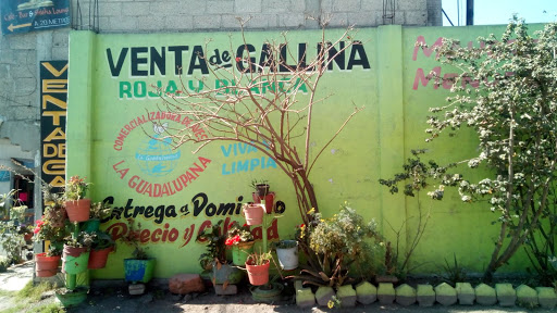 Distribuidora de aves LA GUADALUPANA