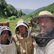 Ferme apiculture la Borda d'Ambrosi à Sillas