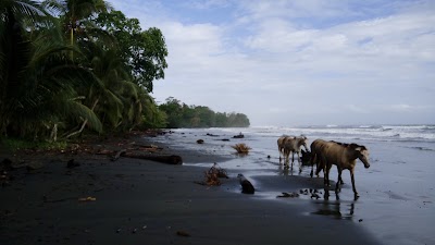 Photos of New Caribe Point