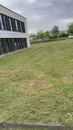 Photo n°25 de Helfrick J. Élagage et entretien espaces verts à Allonnes (Paysagiste)