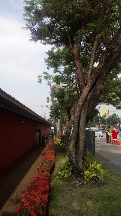 Photos of Parque tennis