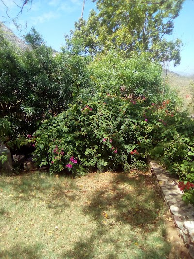 Photos of Leopard Lodge Tsavo