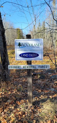 Probert Memorial Forest - Visual