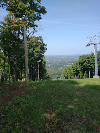 Mont Oak - Thumbnail