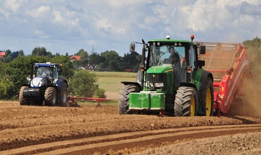 Di Lillo Davide - Rivenditore Stihl - Thumbnail