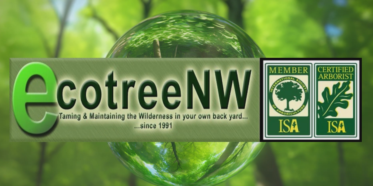 EcoTreeNW Inc