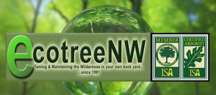 EcoTreeNW Inc