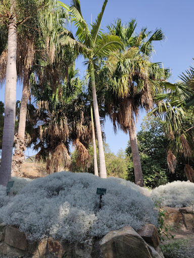 La Concepción Park - Thumbnail