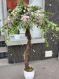 Photo n°20 de Le Jardin De Juliette à Ernolsheim-Bruche (Fleuriste)