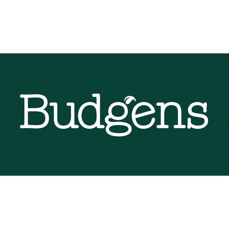 Budgens photo 2