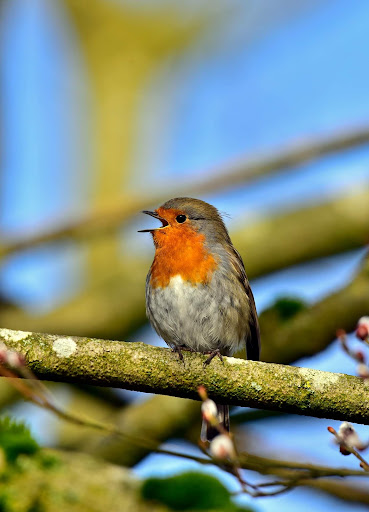 Wolseley Nature Reserve - Thumbnail