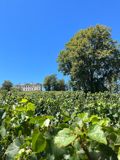 Photo de Château de Lachassagne