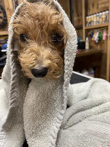 The Grooming Lounge - Waupaca - Thumbnail