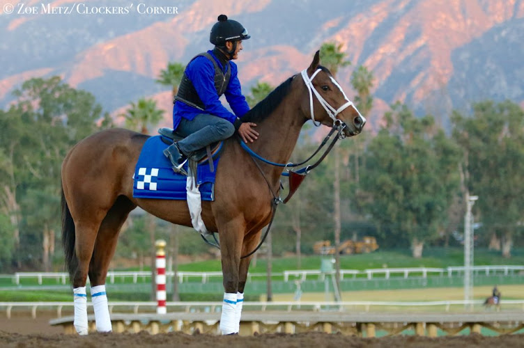 Jeff Bonde Racing Stable