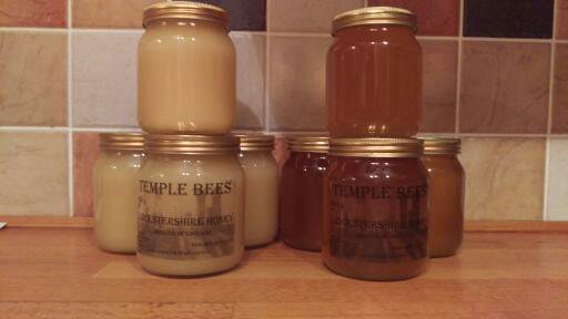 Temple Bees - Visual