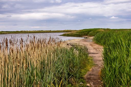 Westermarkelsdorfer Huk Nature Reserve