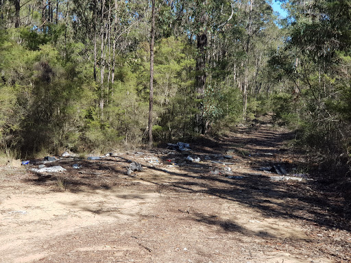 Werakata National Park - Thumbnail
