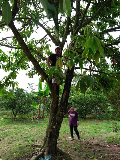 Photos of empang BRAM