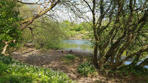 Riverside Holiday Park - Thumbnail