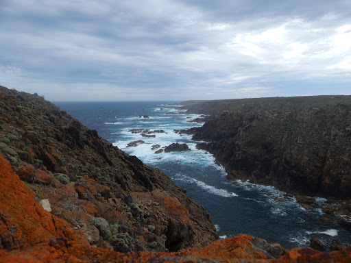 Copper Head Trail / Lookout - Thumbnail