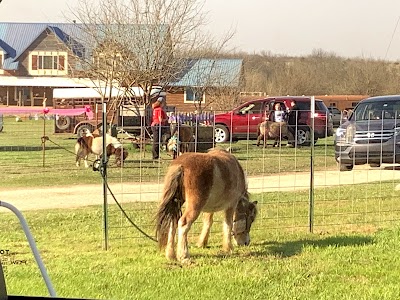 Four Points Ranch and Petting Zoo