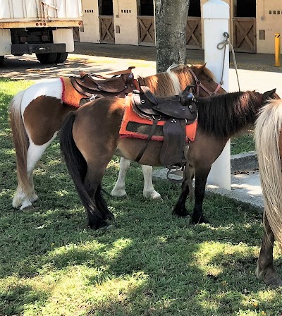 Ponies & Petting Zoo of Miami.