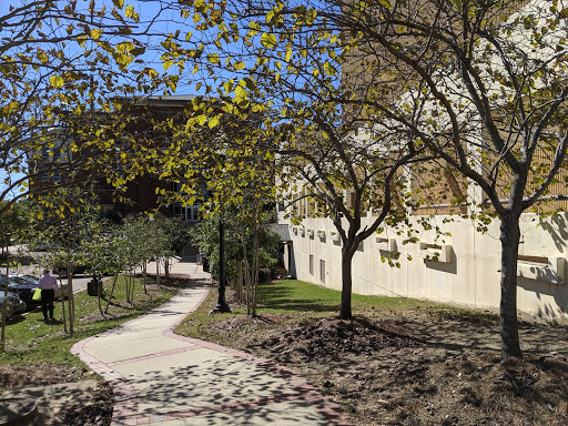 Mississippi State University - Thumbnail