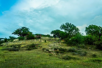 Photos of Johnson's Point