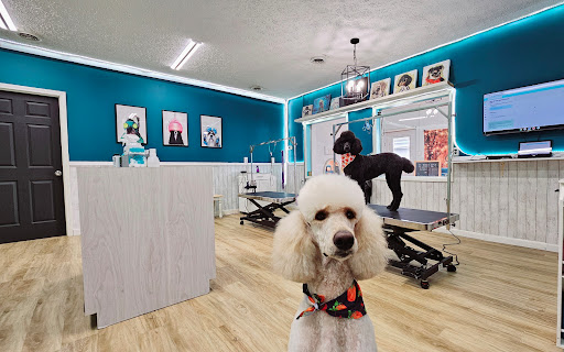 Pawsibilities Center for Canines Logo
