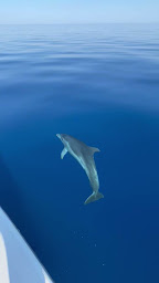 Photo n°2 de U FILANCIU à Cargèse (Agence d'excursions en bateau)