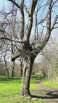 Crumpsall Park manchester