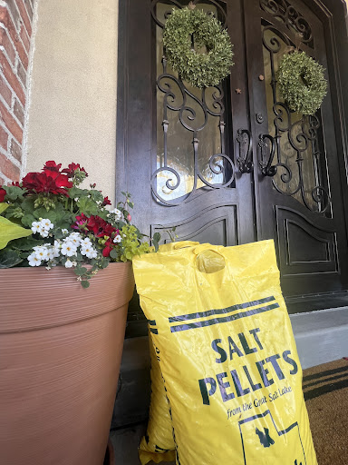SimpleSALT Delivery Logo