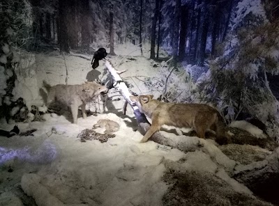 Photos of Museum of Nature