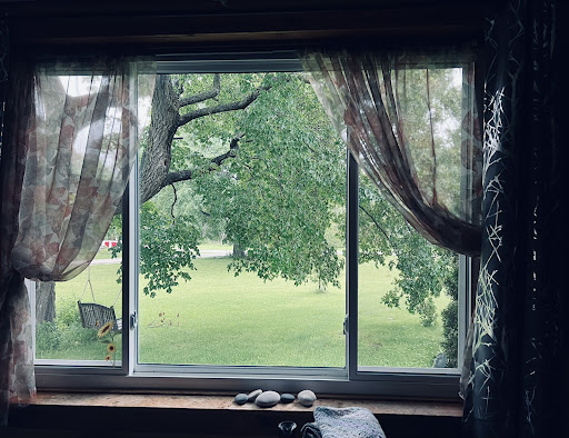 All Pro Window & Cleaning Services - Thumbnail