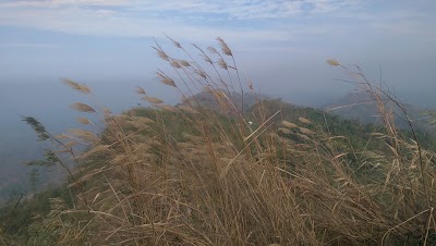 Photos of New Birupaksha Temple