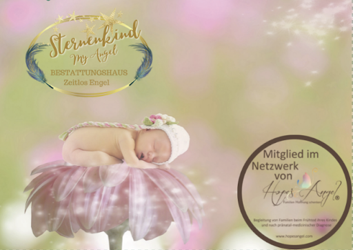 Sternenkinder BestattungZeitlos GmbH Zeitlos Engel