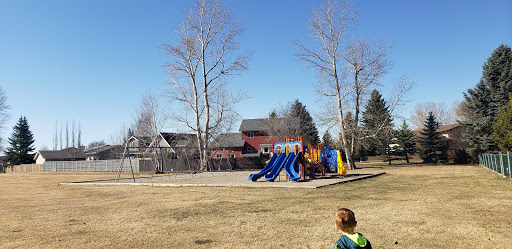 Morgans Park - Visual