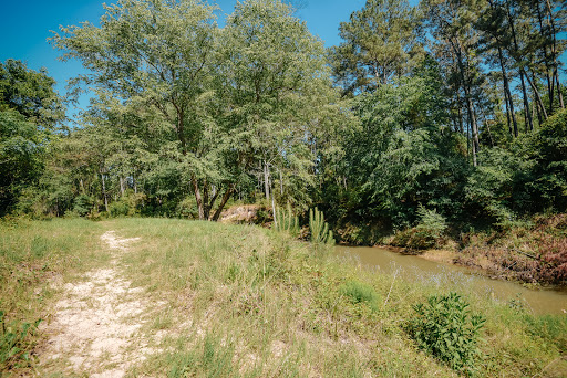 Little Cypress Creek Preserve - Thumbnail